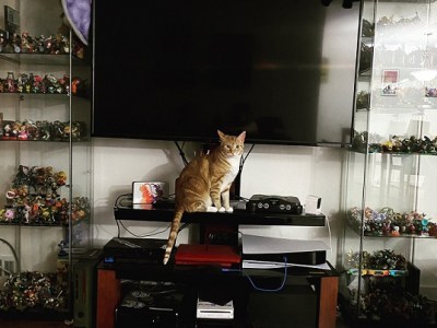 Toys to Life 4&nbsp;Lyfe